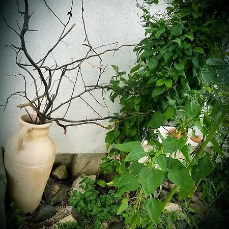 La Martina Daire Vráble