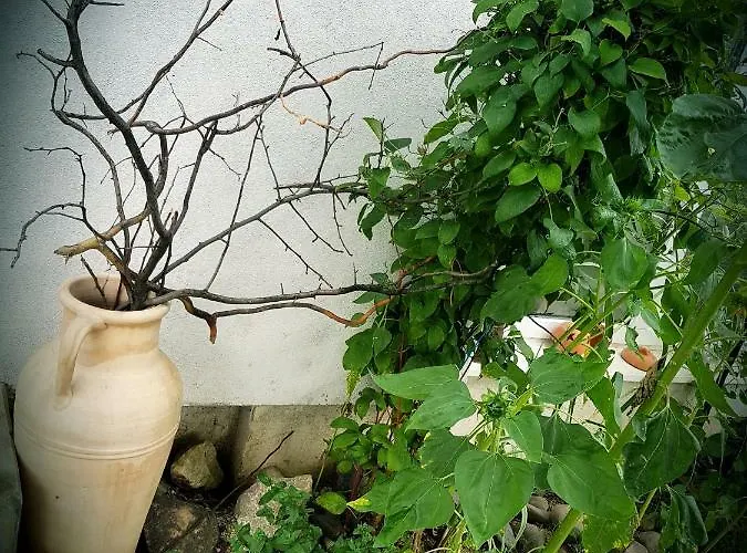 La Martina דירה Vráble